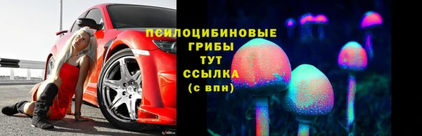 прущие крисы Алзамай