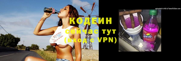 индика Аркадак