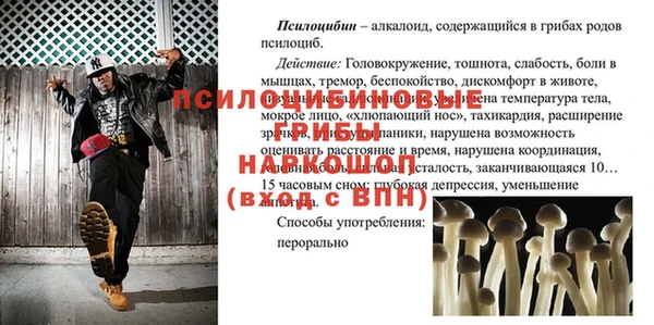 дмт Арсеньев