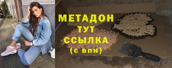 индика Аркадак
