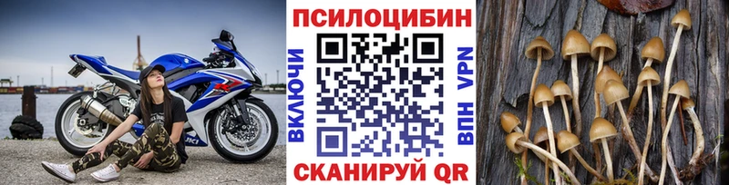 закладка Крымск Галлюциногенные грибы Cubensis